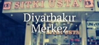 Merkez Şube